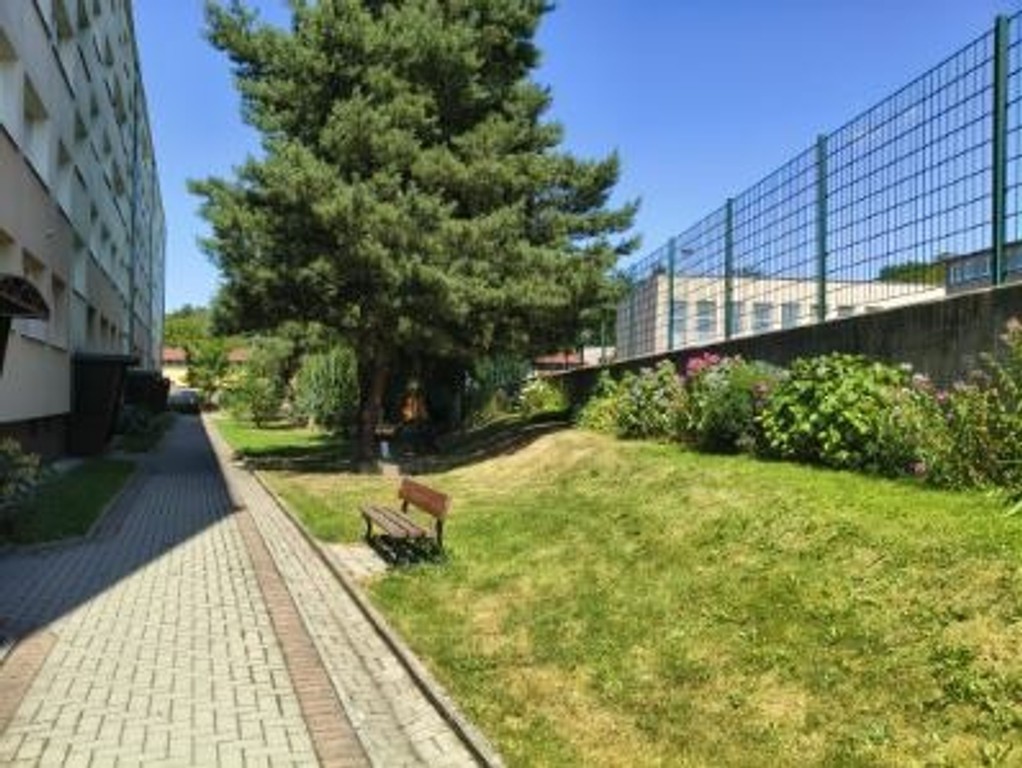 Bogatynia - 3 pokoje na Orła Białego