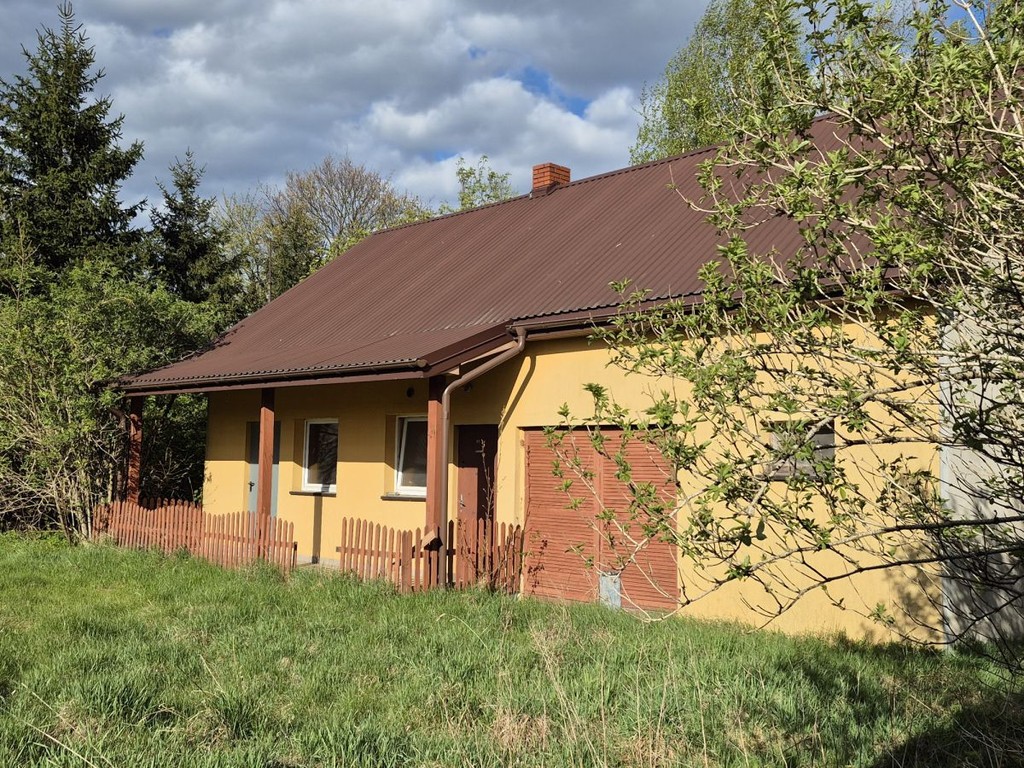 Siedlisko 20 minut od Łodzi! - Widok 5