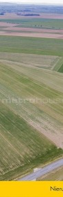 Działka rolna 0,500 ha / Jenkowice-4