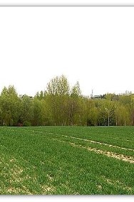 Działka rolna Kielanówka-2
