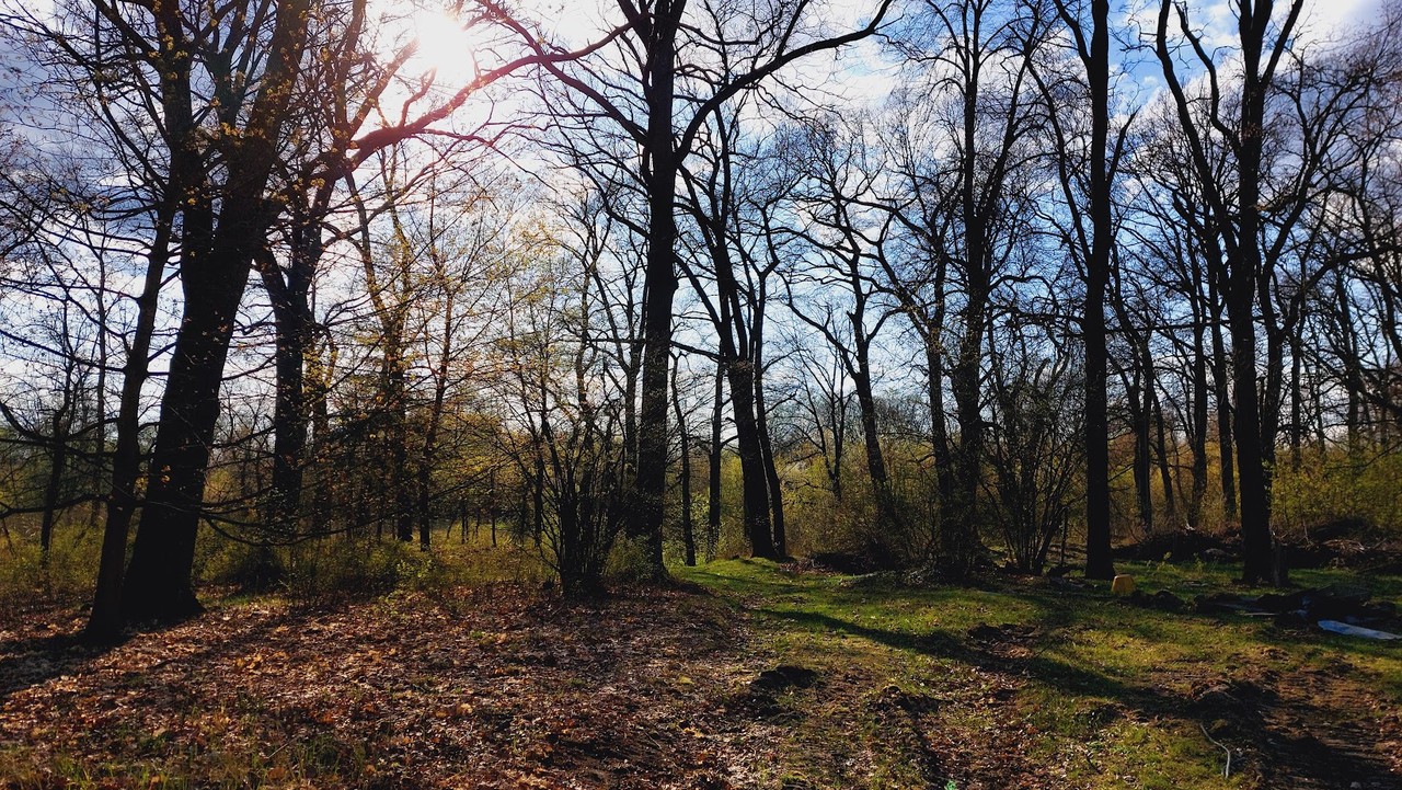 Działka o powierzchni 4060 m² z warunkami zabudowy. w otulinie lasu, otwocki