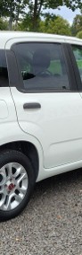 Fiat Panda III Stan bardzo dobry, niski przebieg.-4