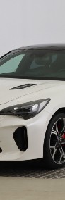 Kia Stinger , Serwis ASO, Automat, VAT 23%, Skóra, Navi, Klimatronic,-3