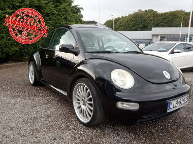 Volkswagen New Beetle-1