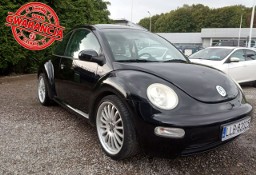 Volkswagen New Beetle