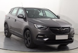 Opel Inny Opel , Salon Polska, Klimatronic, Tempomat, Parktronic