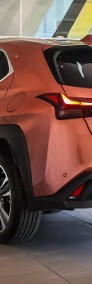 Lexus UX 300h Business 300h Business 2.0 199KM | System Martwergo Pola-4