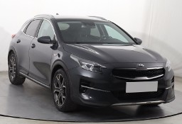 Kia Xceed Salon Polska, Serwis ASO, Klimatronic, Tempomat, Parktronic,