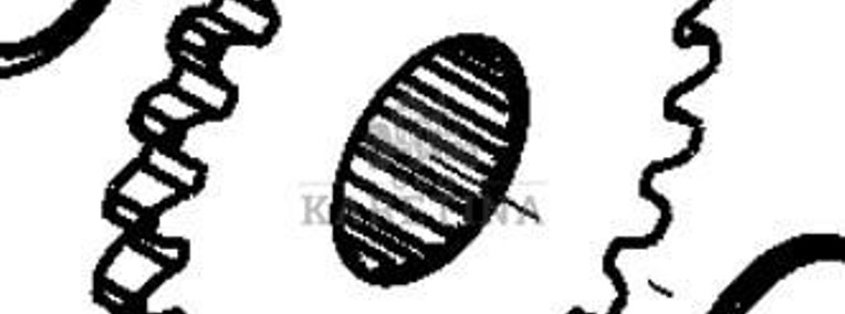 CLAAS Orbis 450 Koło Czołowe Przekładni Rozdzielającej CZĘŚCI 0001392980 00 0139 298 0-1