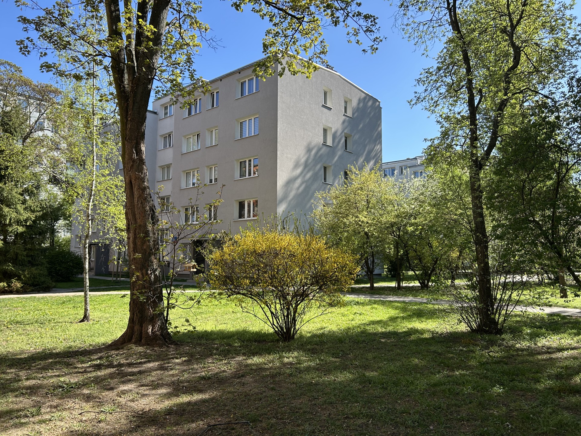 Kawalerka DLA STUDENTA w dobrym punkcie*Narożna*Widna*Możliwe 2 pokoje*Bezpośrednio