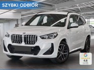 BMW X1 sDrive18i M Sport 1.5 (136KM) M Sport | System alarmowy + Ogrzewanie