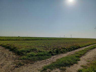 Grunty rolne 20 km od Zduńskiej Woli-1
