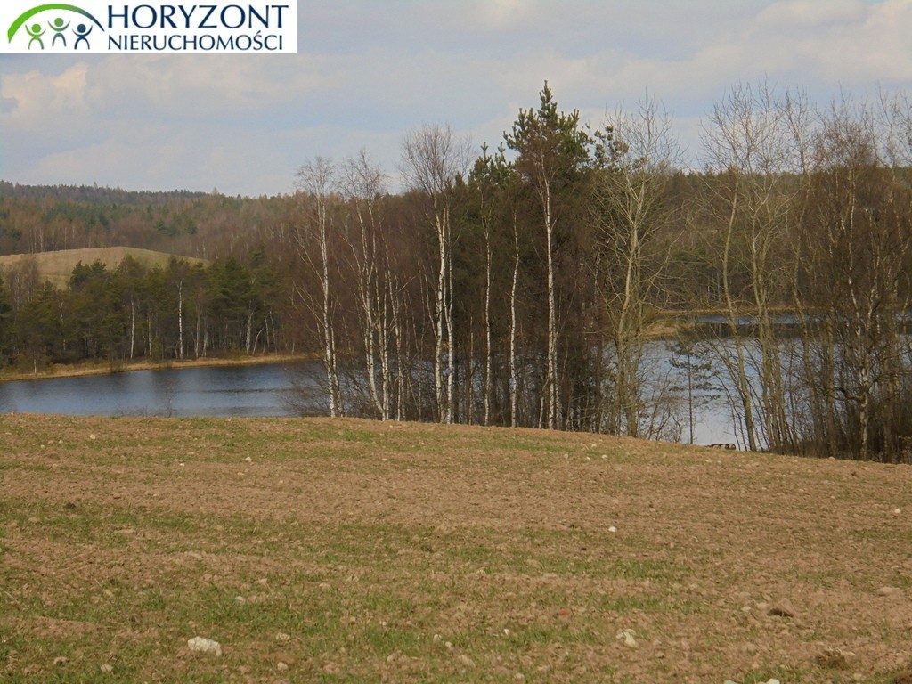 Działka Grabowska Huta - Widok 2