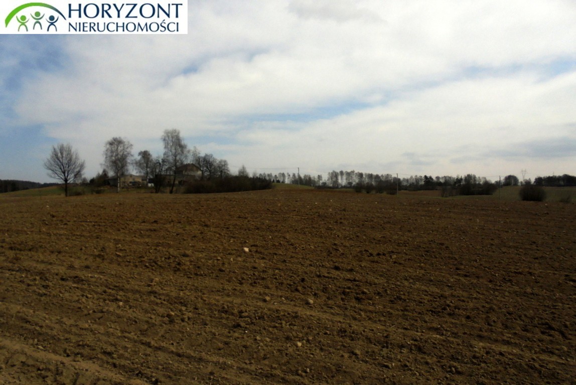 Działka Grabowska Huta - Widok 3