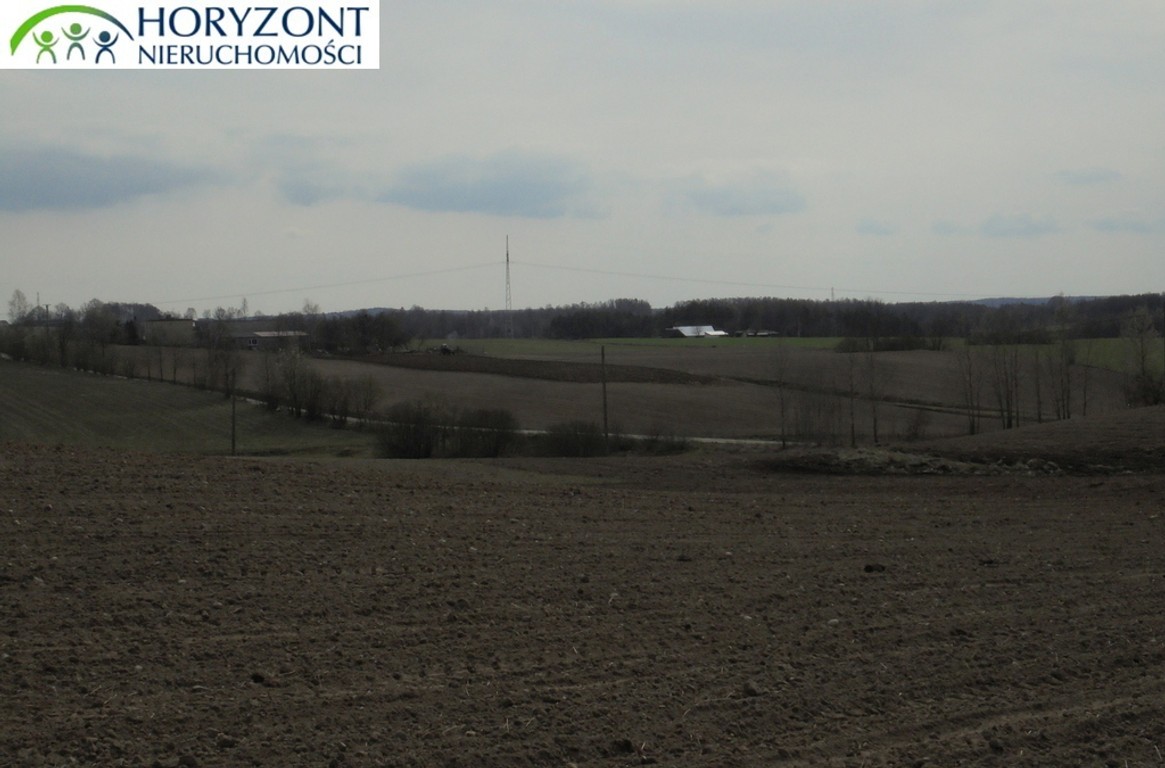 Działka Grabowska Huta - Widok 4