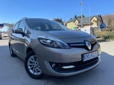 ENERGY TCe 130 BOSE EDITION 132KM 2013r-1