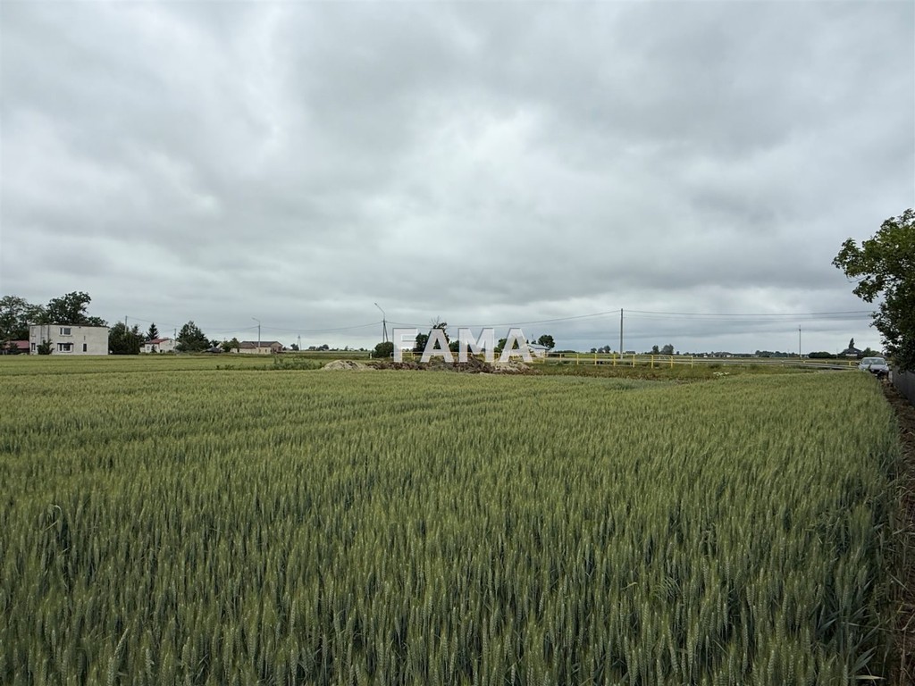 Budowlana 1500 mkw, Kolonia Dębice, dojazd asfalt - Widok 3