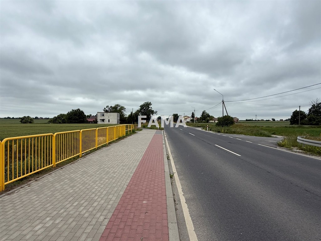 Budowlana 1500 mkw, Kolonia Dębice, dojazd asfalt - Widok 4
