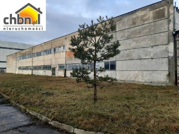 Lokal Sępólno Krajeńskie