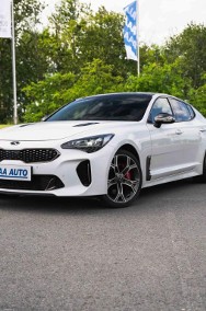 Kia Stinger , Serwis ASO, Automat, VAT 23%, Skóra, Navi, Klimatronic,-2
