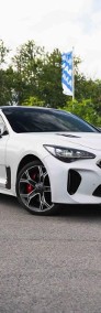 Kia Stinger , Serwis ASO, Automat, VAT 23%, Skóra, Navi, Klimatronic,-4