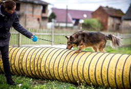 Gyver, MacGyver jestem - przygarniesz mnie?