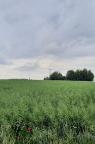 INWESTYCJA - Działka rolna - 3,7675 ha  Rekcin-2