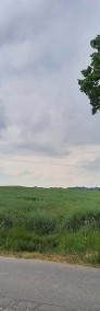 INWESTYCJA - Działka rolna - 3,7675 ha  Rekcin-4