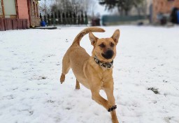 Bąbel, tak wielu widziało i nie reagowało.