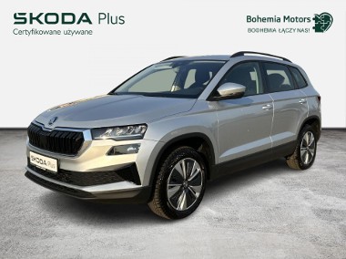 Skoda Karoq-1