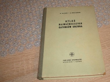 Atlas najważniejszych gatunków drewna- Galewski -1