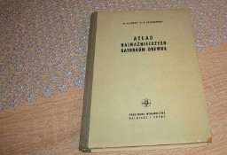 Atlas najważniejszych gatunków drewna- Galewski /js