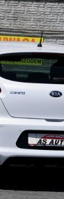 Kia Cee'd II Cee'd / pro_cee'd KIA ProCeed GTLine 1.0T 120KM LEDY/Parktronic/USB/-4