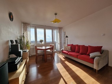 Jasne przytulne mieszkanie w Chorzowie 53,60 m2-1