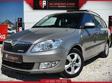 Skoda Fabia II 1.2 TDi 75km GREENLINE KLIMA Super Stan bezwypadkowy Serwis-1