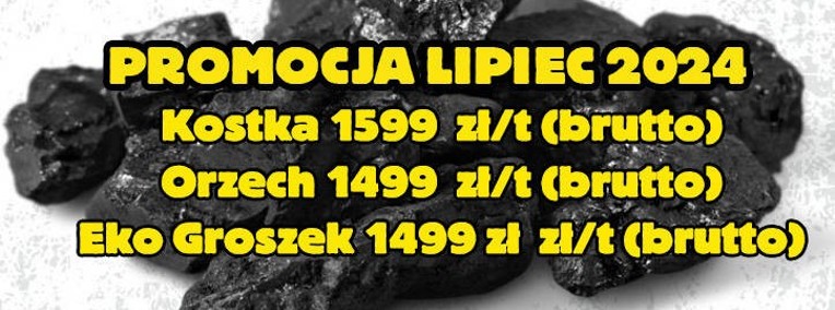 Polski Węgiel Hurt / Promocja Lipiec 2024-1