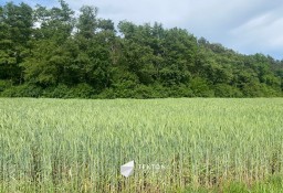 Działka budowlana Karczów, ul. Grobla