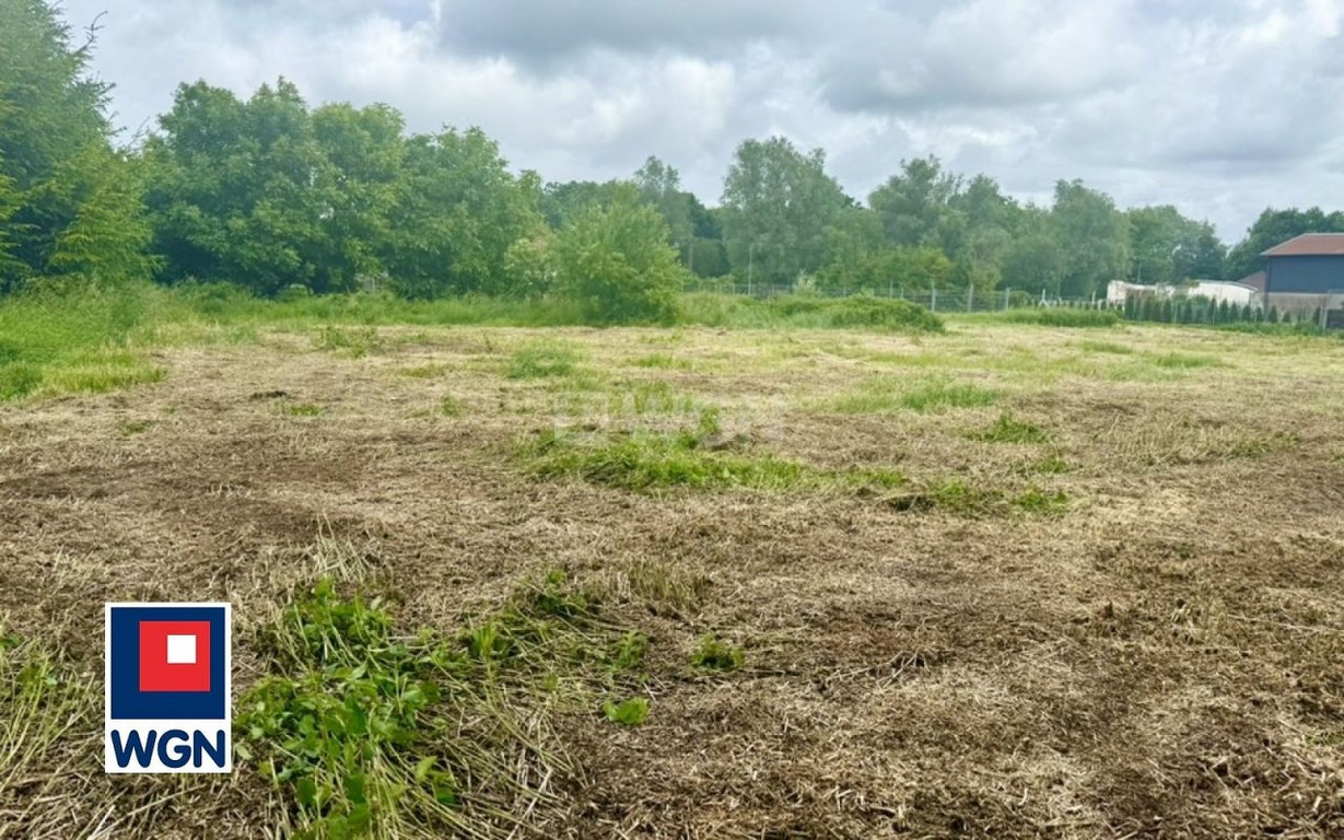 Działka na sprzedaż, 3042 m², Kobylnica Reblino - Widok 6