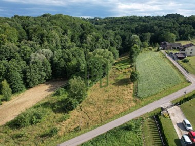 Duża działka z wz w sąsiedztwie lasu (Rzeszów)-1