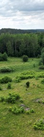 Działki na Mazurach w lesie z WZ | 5 min. do jeziora | Cisza Spokój -4