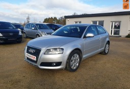 Audi A3 II (8P) 1.6 MPI 102 KM KLIMA, ELEKTRYKA, ZADBANY