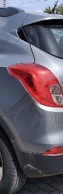 mokka x  salon Polska -4