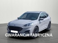 Ford Kuga IV 2.5 190KM FHev.FWD.Od Dealera