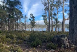 Działka inna Tasmania