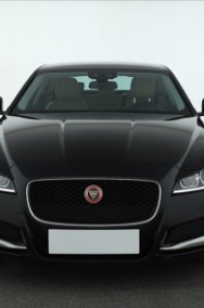 Jaguar XF X260 , 180 KM, Automat, Navi, Xenon, Bi-Xenon, Klimatronic,-2