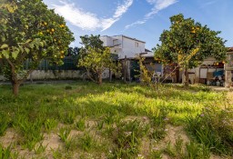 Dom Azeitão (São Lourenço E São Simão)