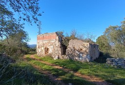 Działka inna Querença, Tôr E Benafim