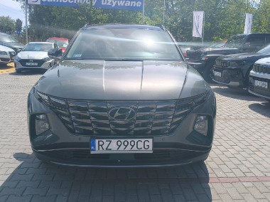 salon Polska -1