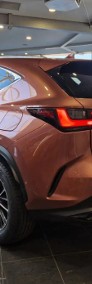 Lexus NX NX 14- 350h Elegance 2.5 Hybrid 350h Elegance 2.5 Hybrid 200KM | Podgrzewane-4
