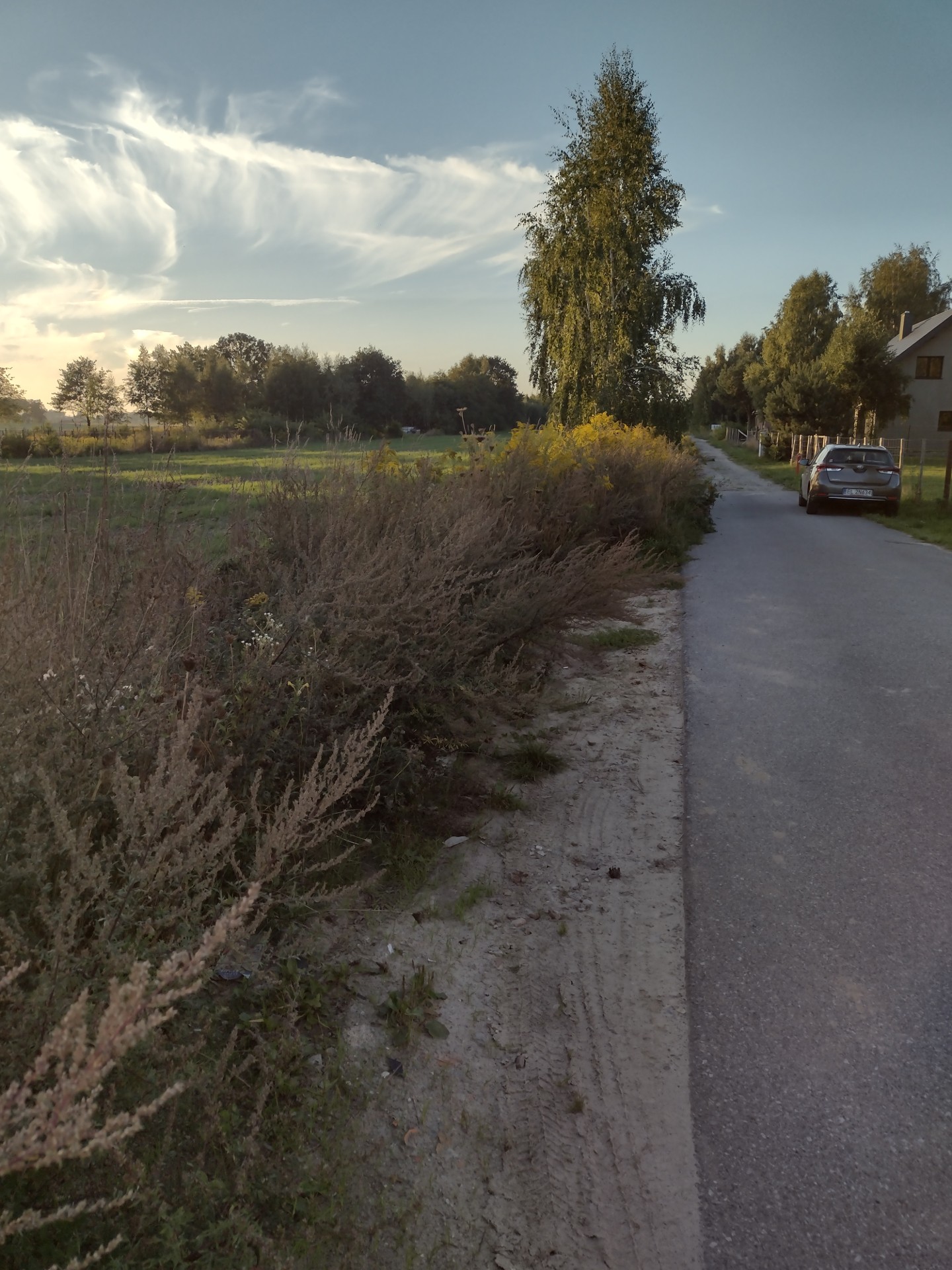 Sprzedam działkę w Justynowie - Widok 5